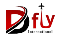 Dfly International Aviation Institute